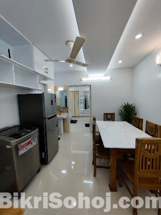 Rent a Fully Furnished 4BHK Serviced Apartment